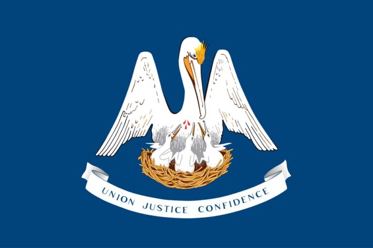 Bandera de Louisiana