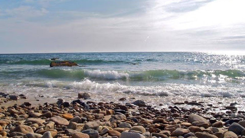 Azzinaro Manni-Paquette Attys