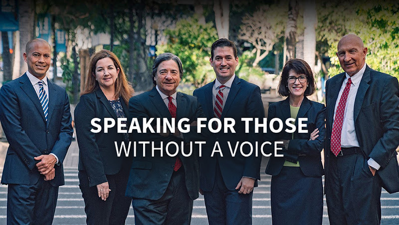 Davis Levin Livingston