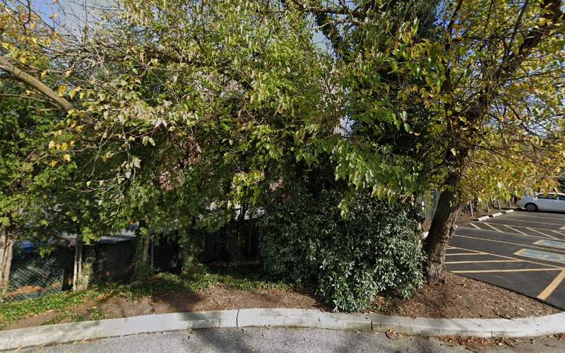 Personal Injury Attorney