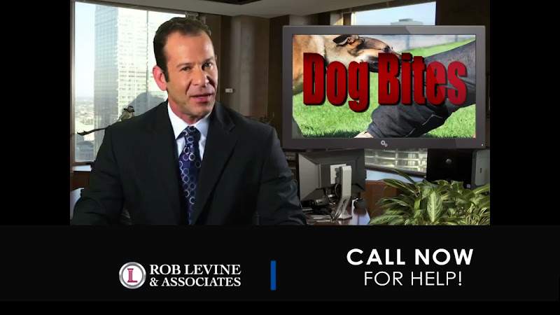 Rob Levine & Associates