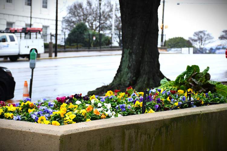 Shelly Leeke Law Firm