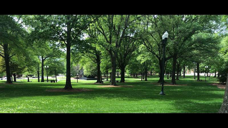 Tannehill Carmean, PLLC